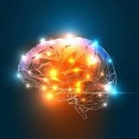 Shift Concussion Management logo