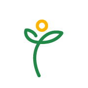 Arnica Wellness logo